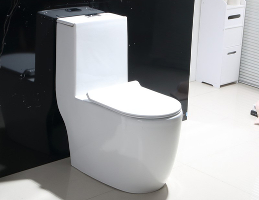 Mua Chống xước nhà vệ sinh một khối di động hiện đại độc đáo sản xuất trực tuyến