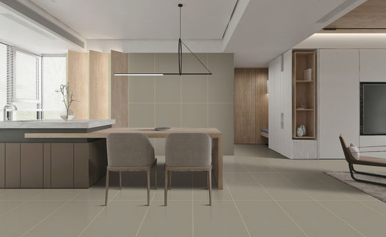 Mua Gạch lát nền Porcelain vân nổi 60x120cm Tráng men Sao AAA sản xuất trực tuyến