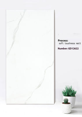 Mua Đá đá ngoài trời bằng đất sét màu trắng Beige 600x1200mm Soft Touchness Matt sản xuất trực tuyến