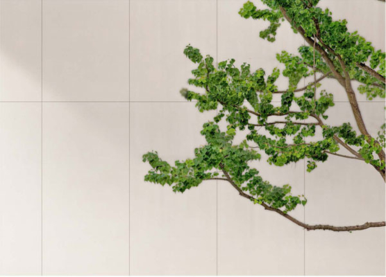Đá lửa White Curtain Wall Porcelain Tile 600x1200mm Matte Antique Finish Cho Trung tâm mua sắm Và Văn phòng