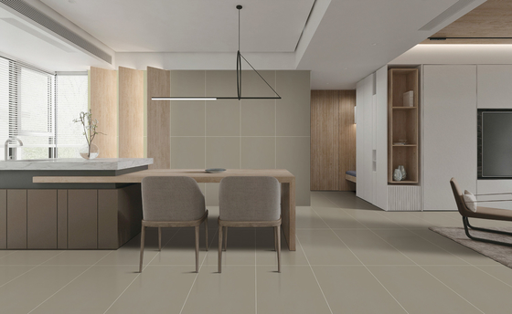 Gạch sàn sứ kết cấu cho phòng ngủ 60x120cm SGS
