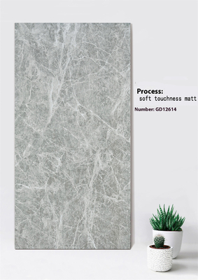 Nhìn nhựa màu xám ánh sáng chống trầy xước 600x1200mm mềm mỏng Matt bên ngoài rèm tường gạch cho vườn