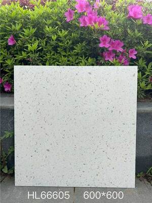 Đẹp và phong cách Beige 600x600mm sàn nhà Terrazzo gạch gốm cho phòng ăn