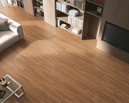 PRIMERA Gạch sứ bằng gỗ chiều rộng 60cm Màu nâu cho sàn 150x900mm