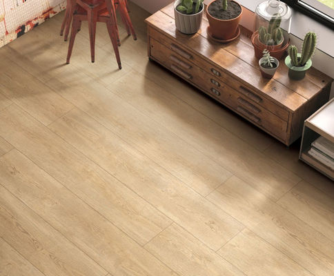 36kg / hộp Gạch lát sàn gỗ 250x1500mm, Gạch men ốp tường nội thất dày 9,5mm
